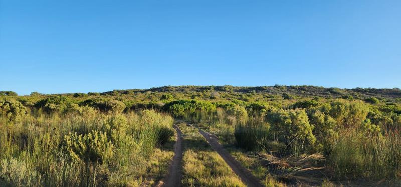 0 Bedroom Property for Sale in Albertinia Western Cape